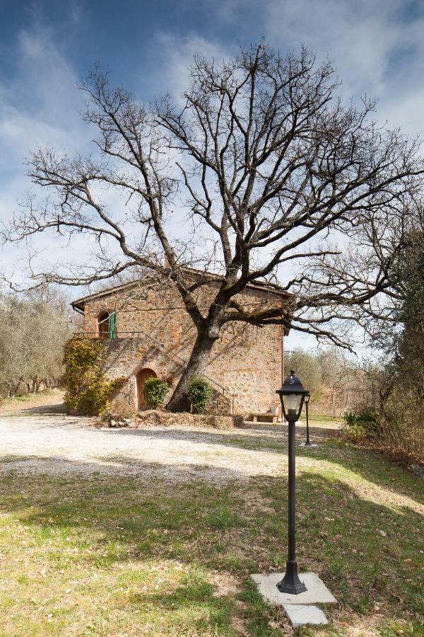 Podere Villa Rosa Torrita di Siena Esterno foto